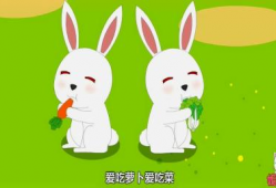 小白兔吃萝卜视频,小白兔的快乐萝卜时光